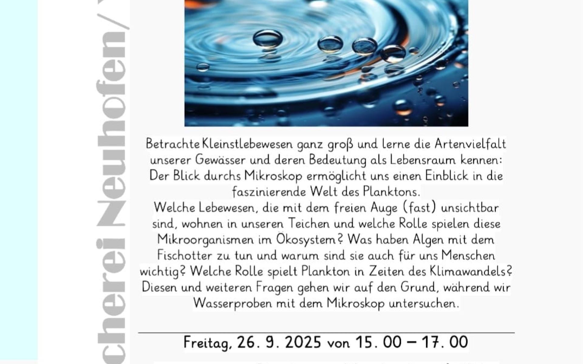 Wasserflöhe und Co 