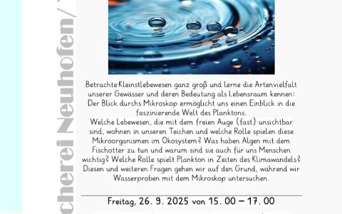 Wasserflöhe und Co 